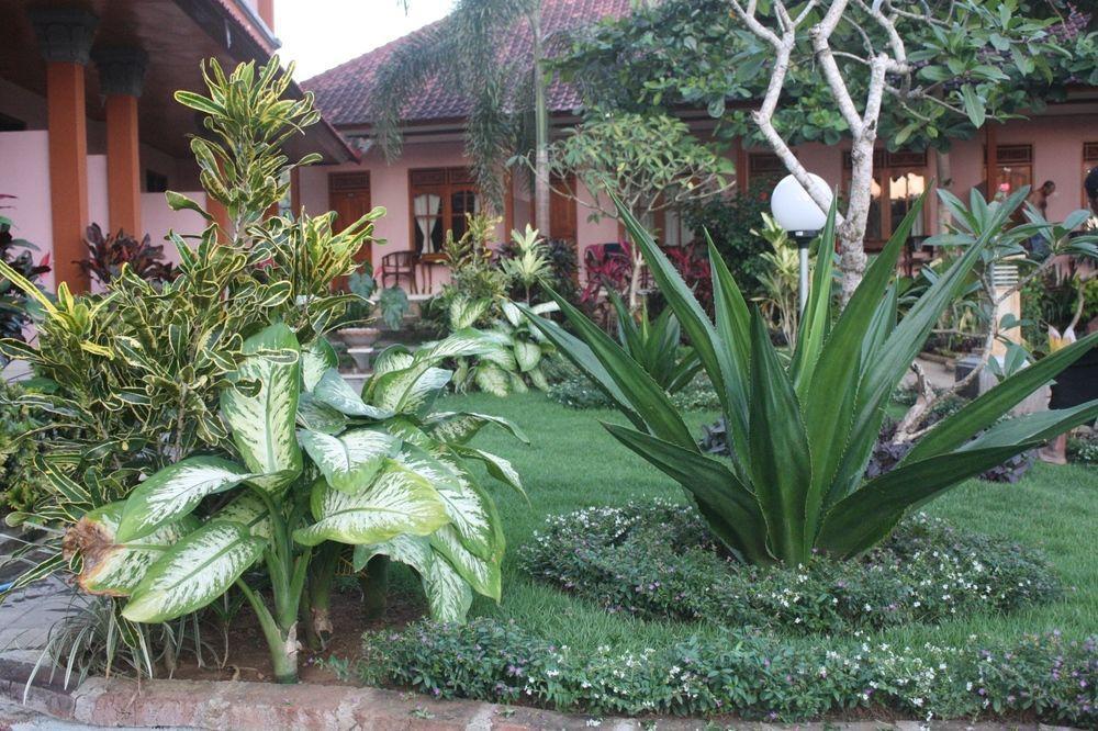 Pecatu Kenanga Inn מראה חיצוני תמונה